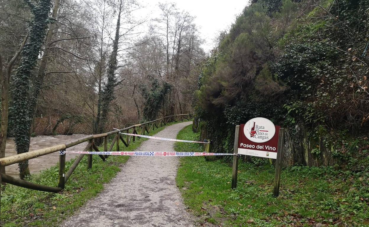 El Paseo del Vino de Cangas del Narcea, cerrado. 