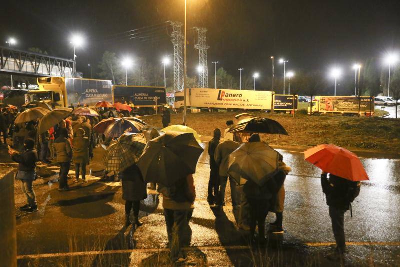 Los supermercados que inician ocho jornadas de huelga son: Alimerka, Masymas, La Quintana, El Arco y La Plaza de Dia. La huelga ha comenzado a las 22 horas del viernes 20 de diciembre y se prolongará durante los días 21, 22, 23, 24, 28, 29, 30 y 31 de diciembre.