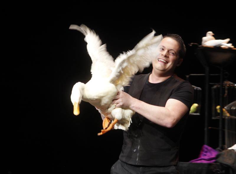 El teatro gijonés acogió este viernes la primera jornada de la Gran Gala Internacional de Magia, con la presencia de El Gran Dimitri, Víctor Cerro o Erwan. 