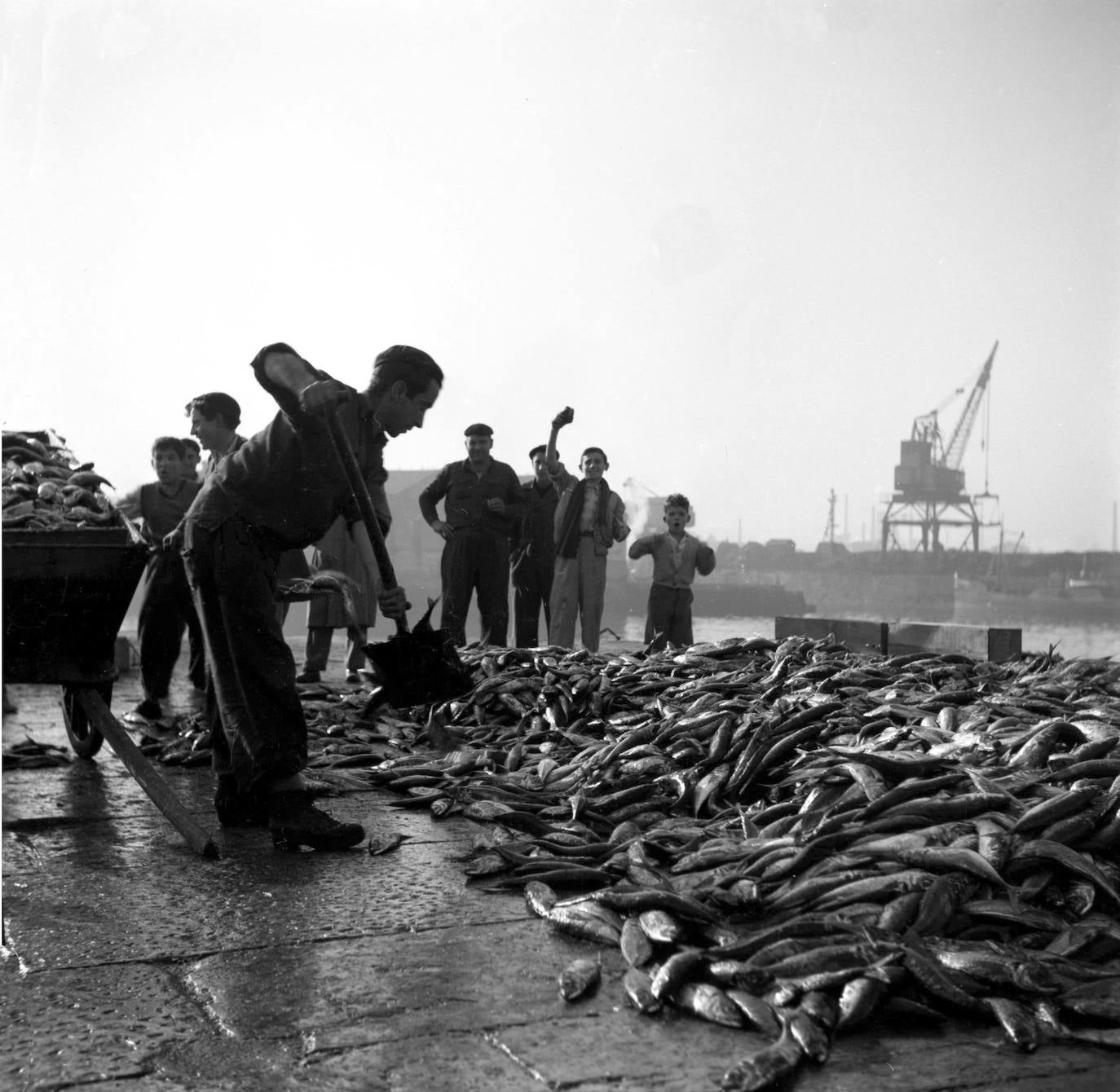 Febrero. Chicharrón a paladas. 