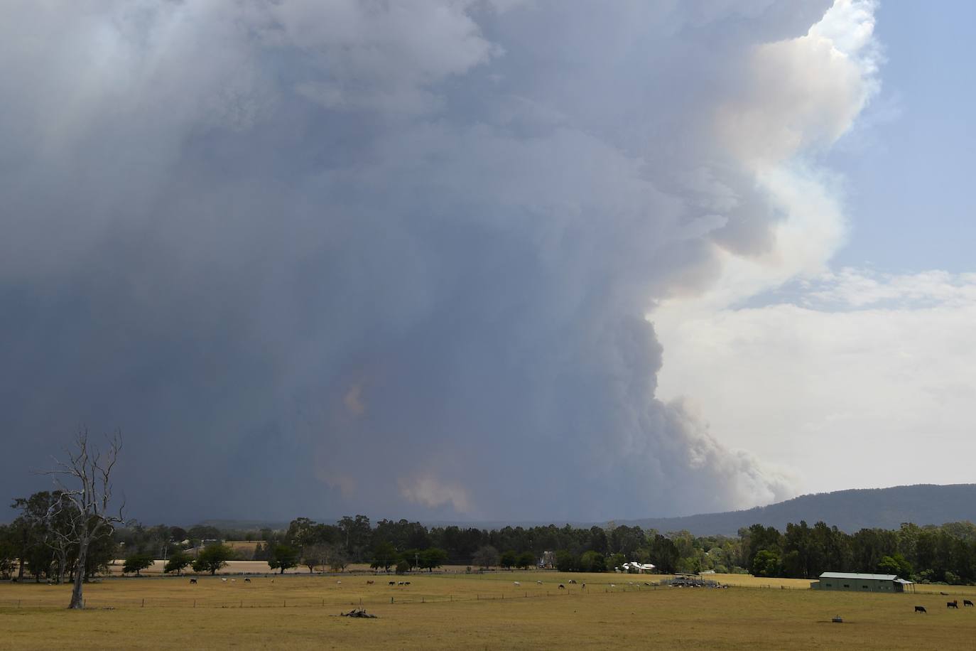 Los incendios han dejado este martes al menos dos muertos y cinco desaparecidos