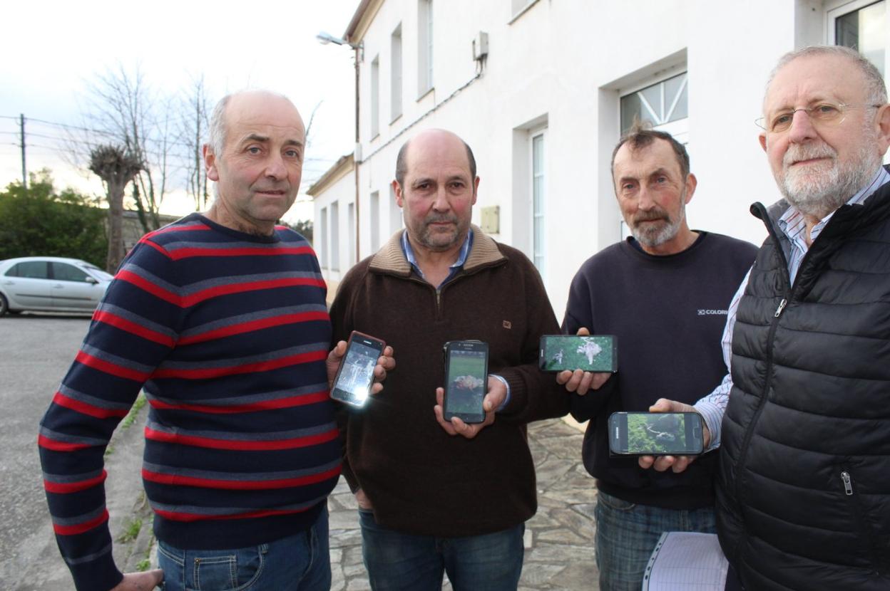 Los ganaderos muestran imágenes de sus animales comidos por el lobo. 