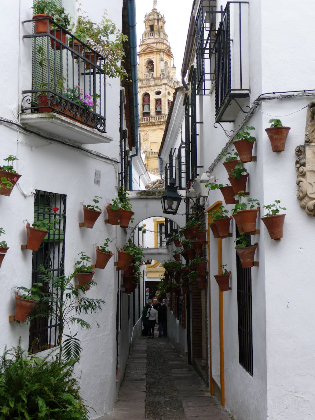 Calleja de las Flores (Córdoba)