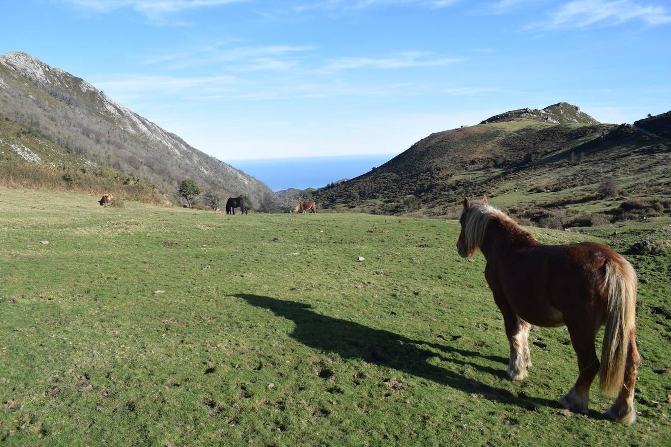 Fotos: La costa y los Picos de Europa a pie de cumbre