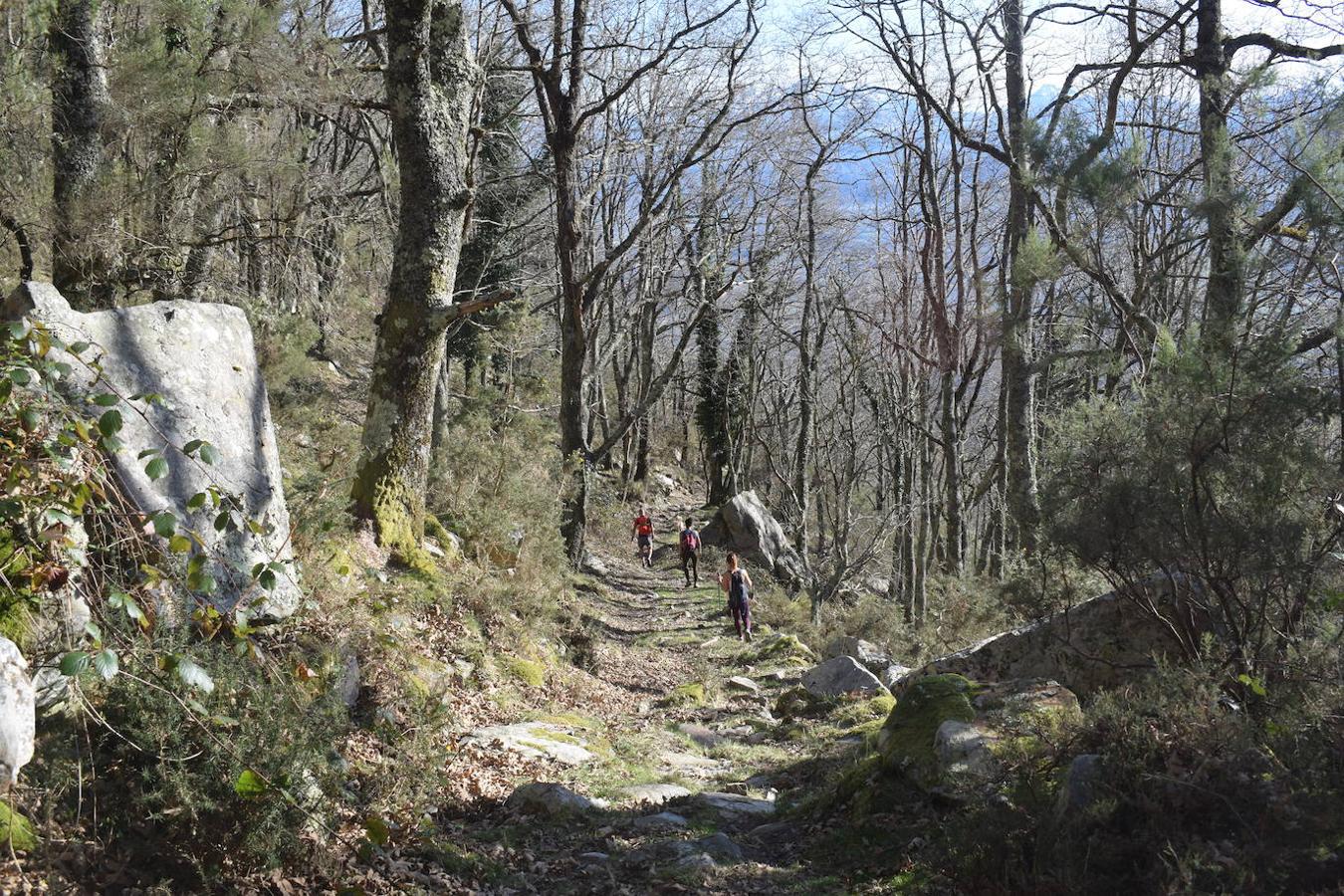 Fotos: La costa y los Picos de Europa a pie de cumbre