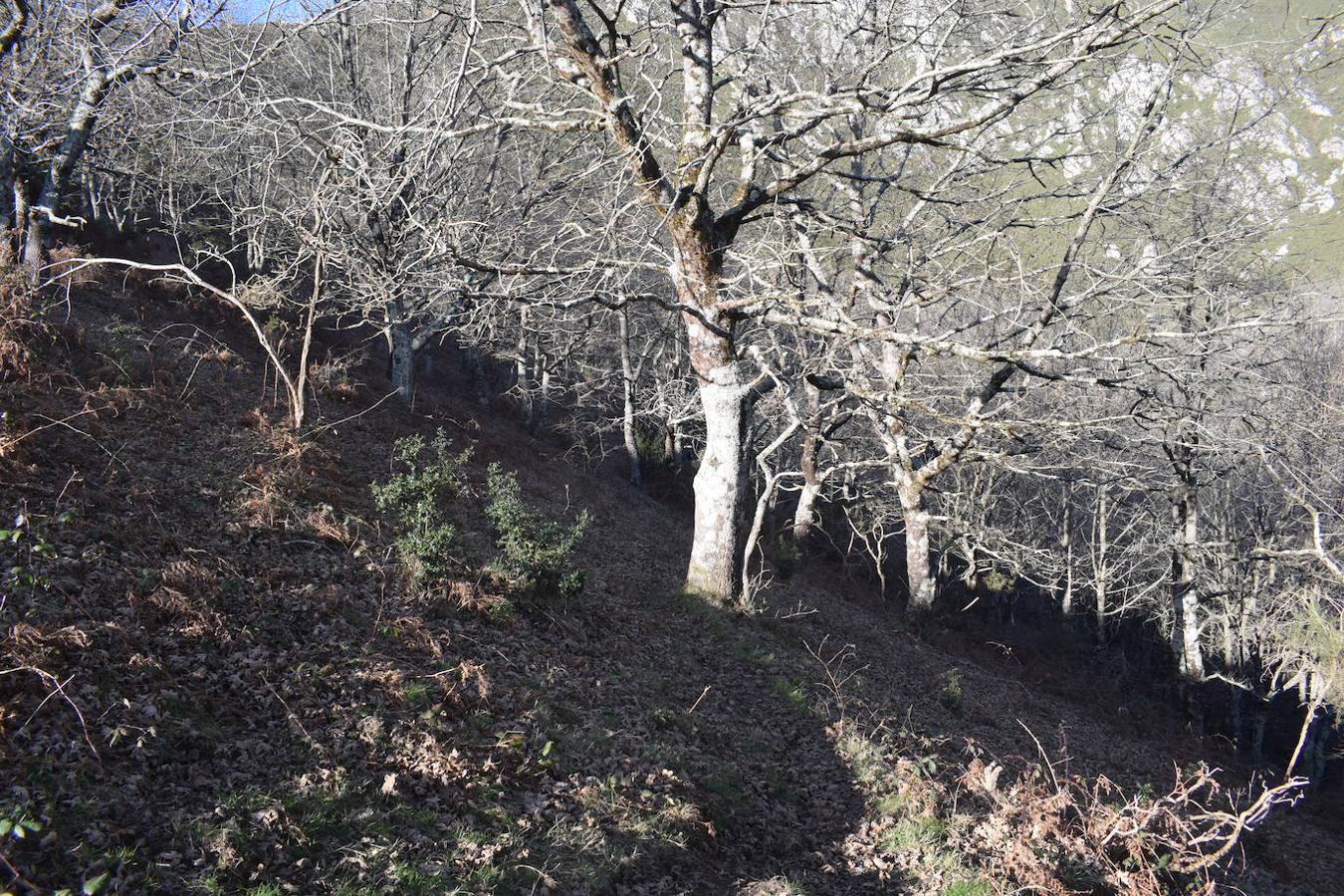 Fotos: La costa y los Picos de Europa a pie de cumbre