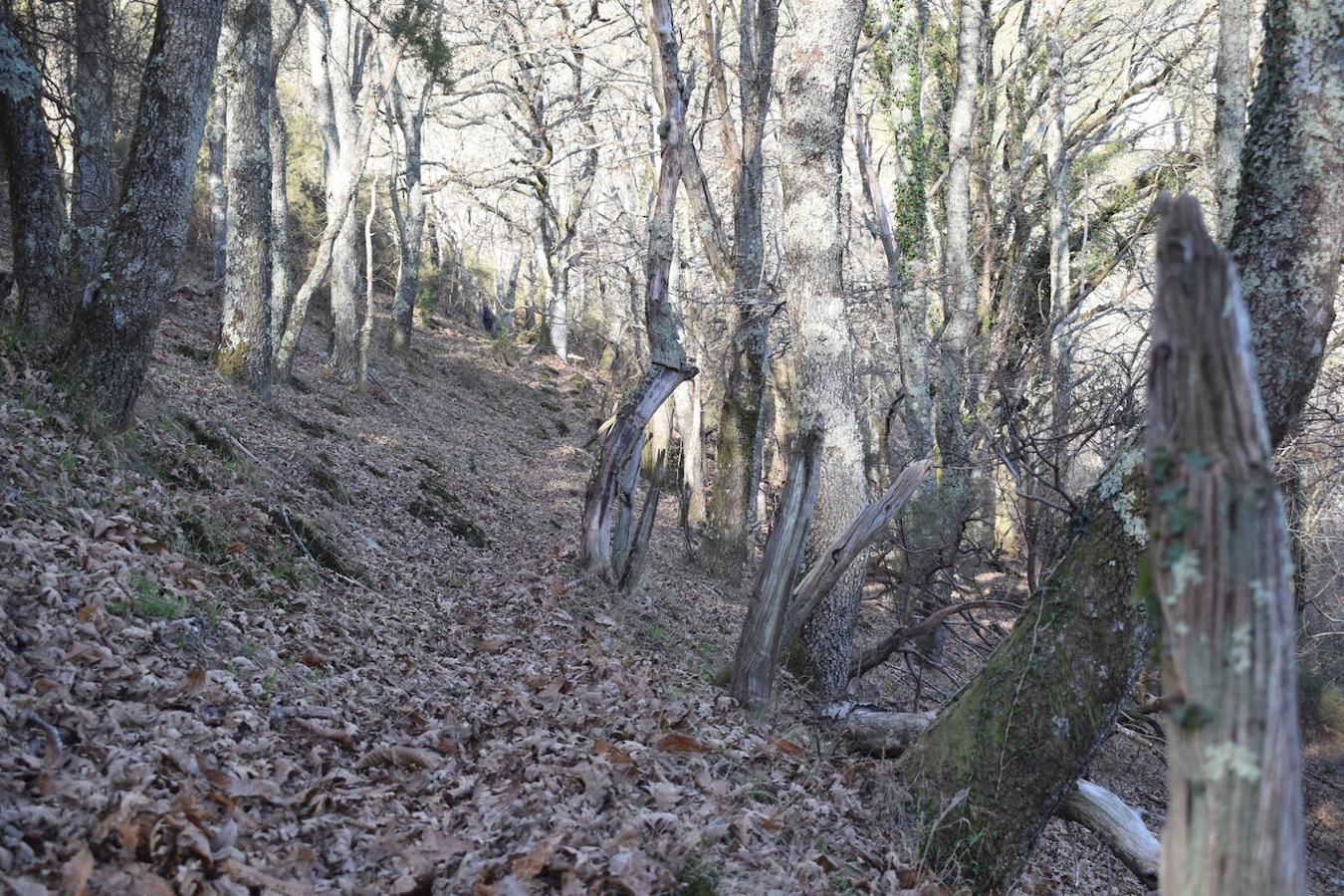 Fotos: La costa y los Picos de Europa a pie de cumbre