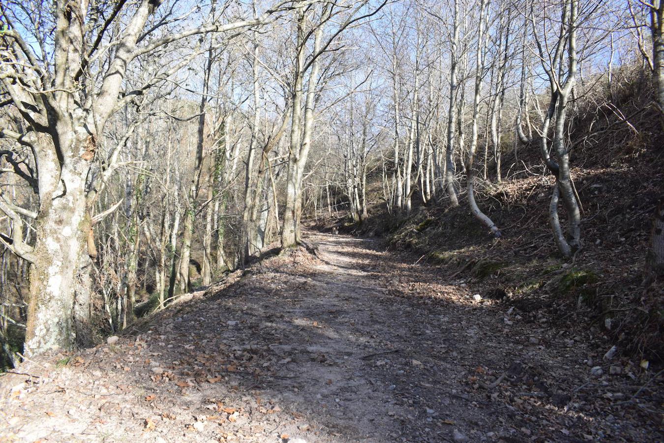 Fotos: La costa y los Picos de Europa a pie de cumbre