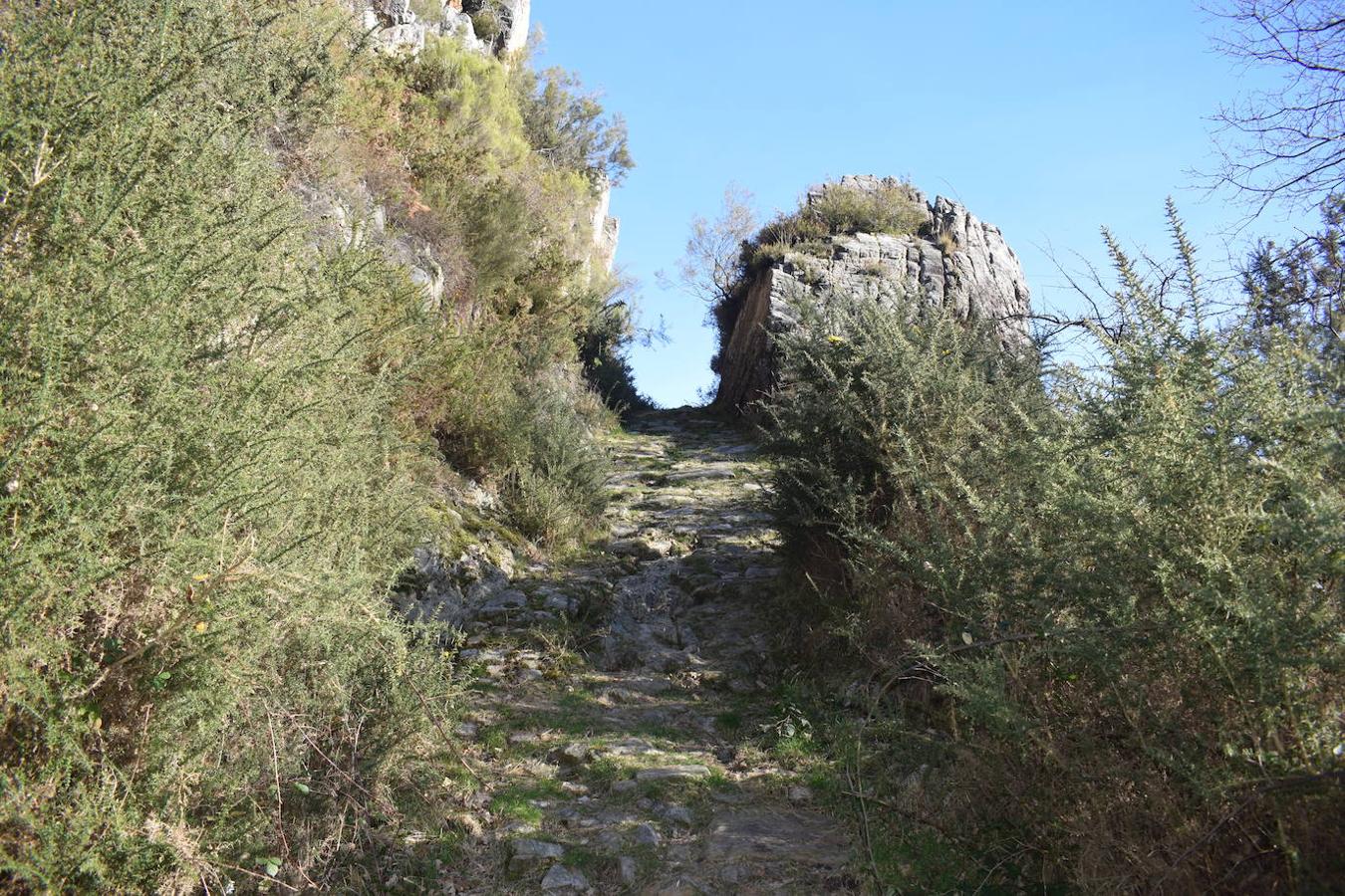 Fotos: La costa y los Picos de Europa a pie de cumbre