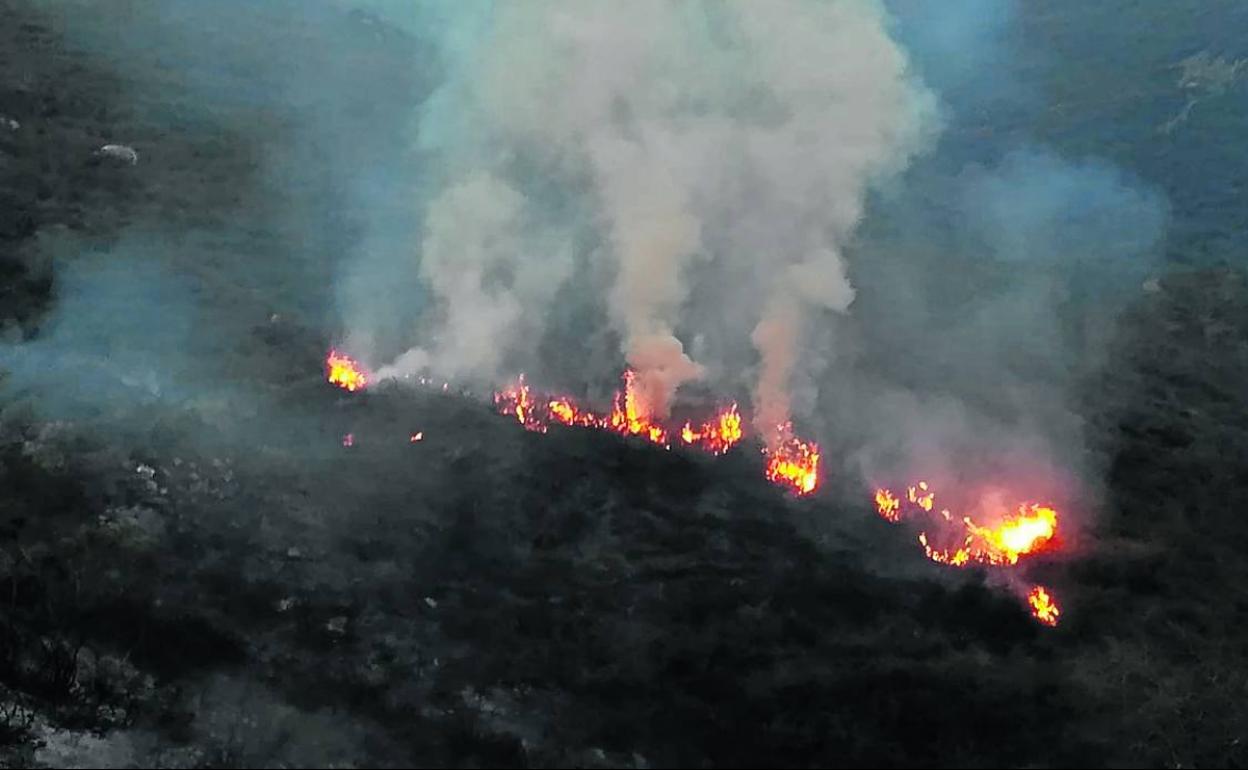 Las llamas provocadas por el presunto incendiario denunciado en la zona de Demués, en Onís. :: e. c.