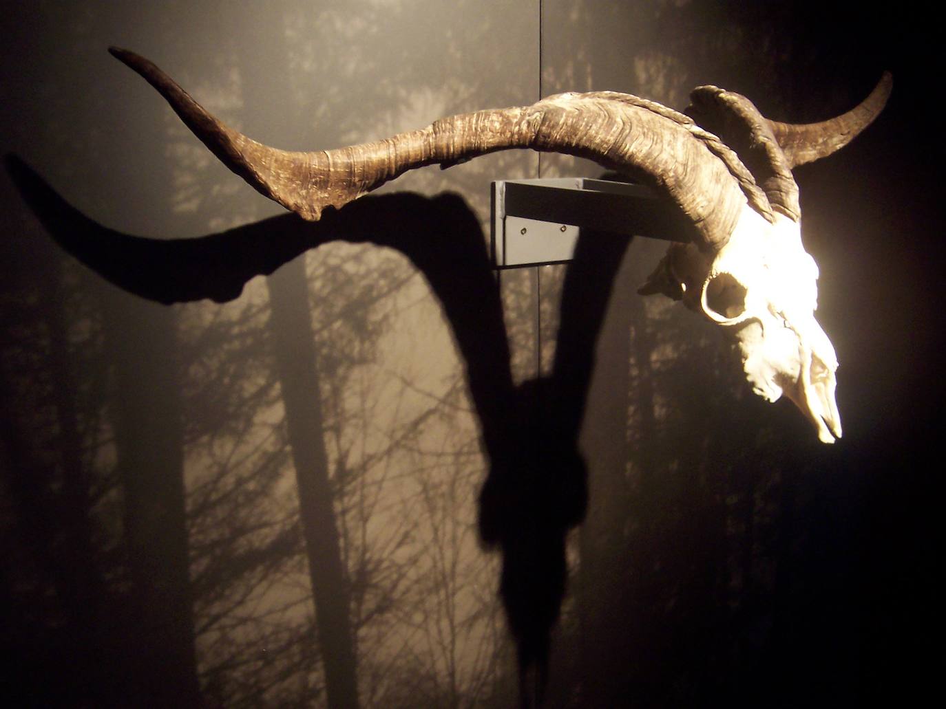 Museo de las Brujas (Zugarramurdi, Navarra) | En el espacio se cuentan interesantes historias, en su contexto, con sus matices de luz y oscurantismo. Rompiendo con la imagen folklórica de las brujas, se quiere dar paso a esa otra realidad de unas mujeres y unos hombres acusados de cosas inverosímiles, envueltos en relatos fantasiosos, y finalmente quemados en una hoguera.