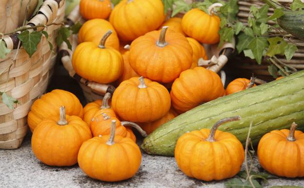 Los carotenoides son unos pigmentos anaranjados con un alto contenido en vitamina A. 