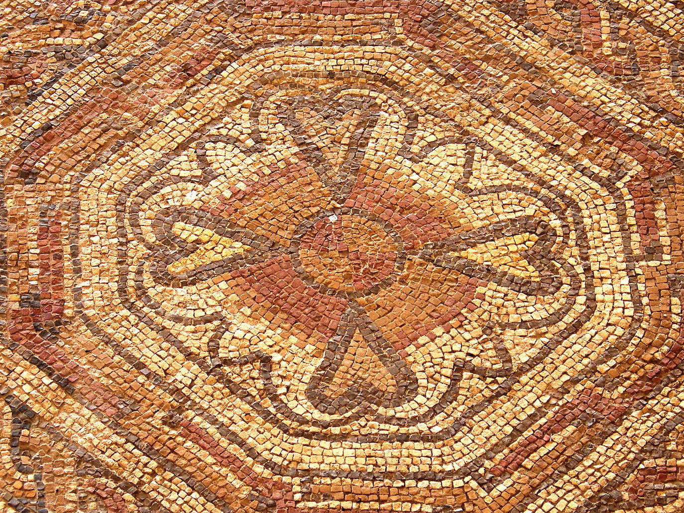 Imágenes reunidas en el concurso Arqueofoto realizado por los museos arqueológicos de Gijón con la colaboración de EL COMERCIO para difundir el patrimonio de la ciudad.