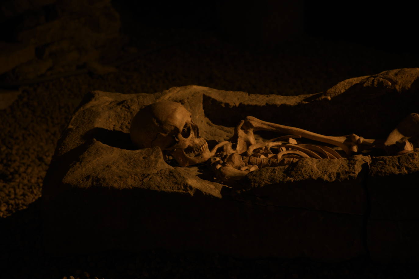 Imágenes reunidas en el concurso Arqueofoto realizado por los museos arqueológicos de Gijón con la colaboración de EL COMERCIO para difundir el patrimonio de la ciudad.