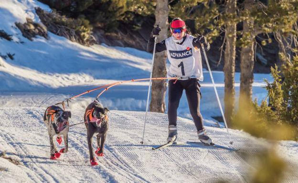 Conoce a las 'mushers' españolas que compiten junto a sus perros