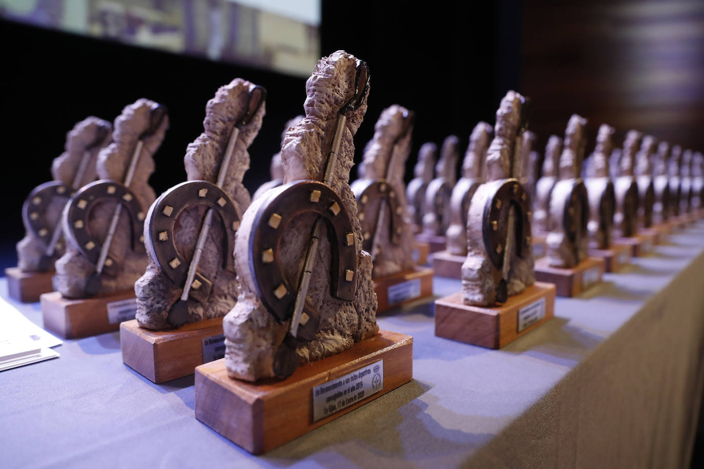 La Federación Hípica del Principado de Asturias organizó la Gala Hípica que sirvió para homenajear a los deportistas destacados en el año 2019 en el Auditorio de la Laboral Ciudad de la Cultura