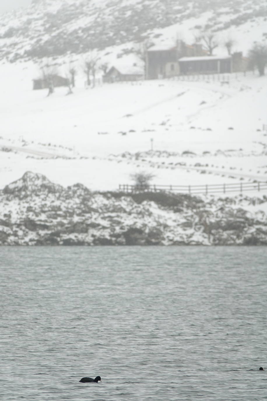 Muchas personas se decidieron a subir a los Lagos de Covadonga llamados por la nieve caída en la noche