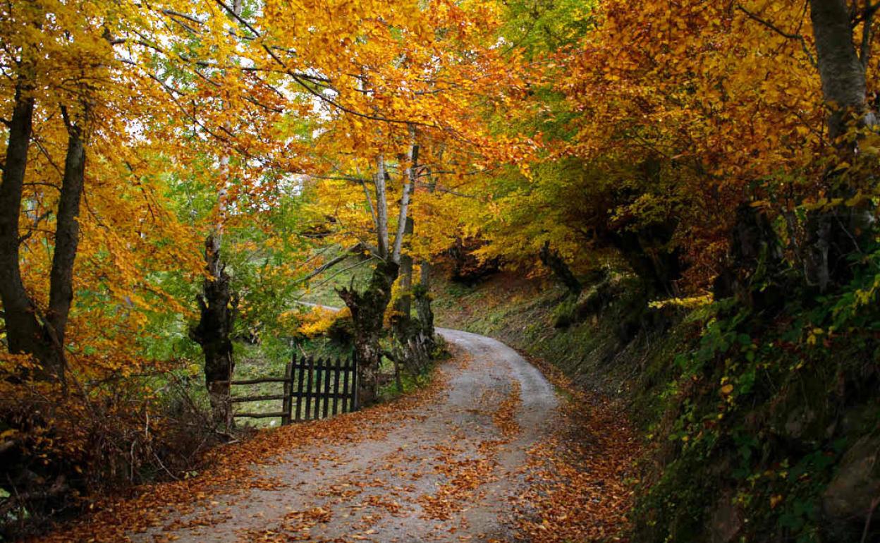 Sendas costeras y rutas de montaña que no te puedes perder este fin de semana