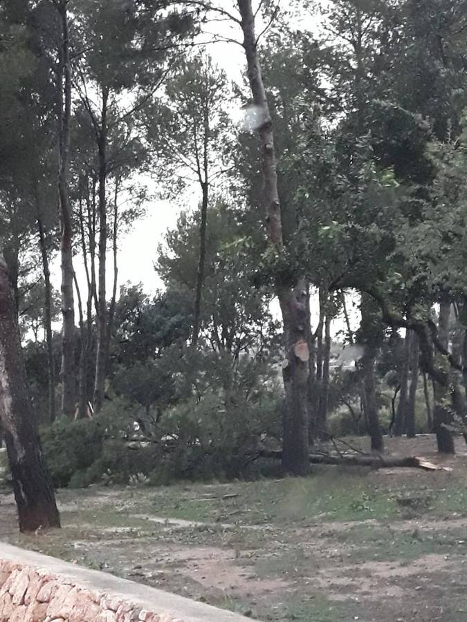 El mediterráneo sufre el envite de 'Gloria', la borrasca que ha marcado récords con olas de más de 10 metros.