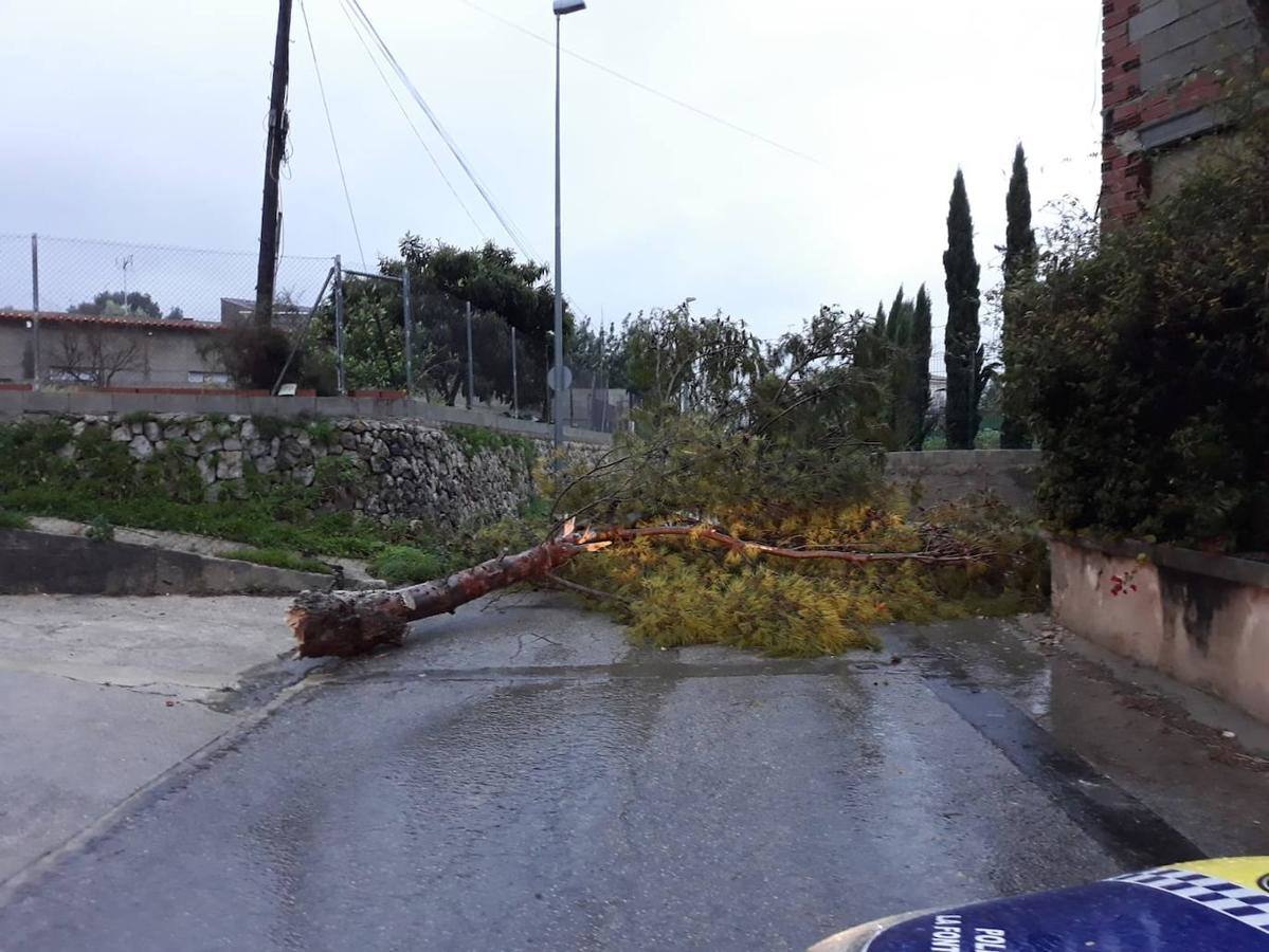 El mediterráneo sufre el envite de 'Gloria', la borrasca que ha marcado récords con olas de más de 10 metros.