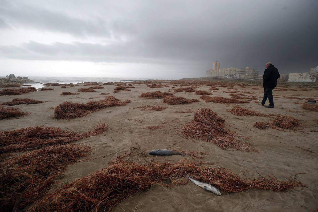 El temporal amaina tras dejar a su paso todo el litoral destrozado y lluvias de 800 litros, granizadas cerca del mar, desbordamiento de ríos, olas de hasta ocho metros, nevadas copiosas de casi 90 centímetros de espesor, rescates, pueblos aislados...