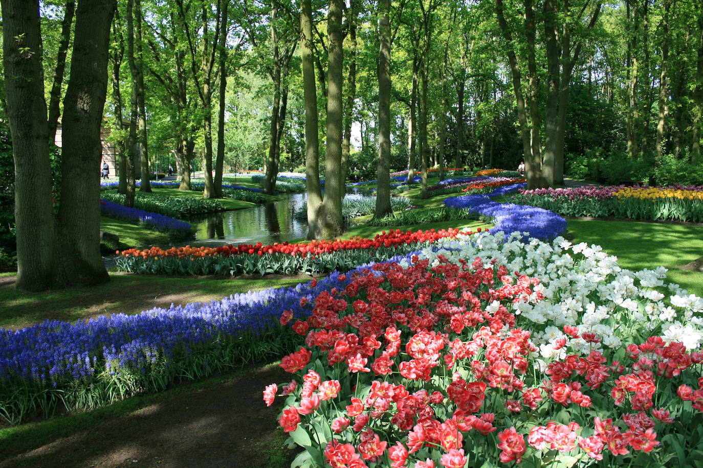 Jardines de Keukenhof (Holanda)