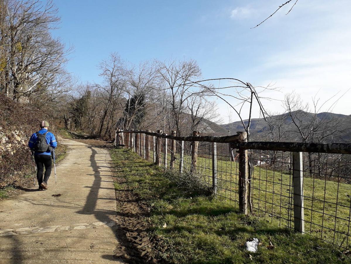 Fotos: De ruta por el Parque Natural de Redes