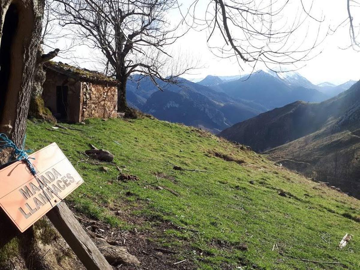 Fotos: De ruta por el Parque Natural de Redes