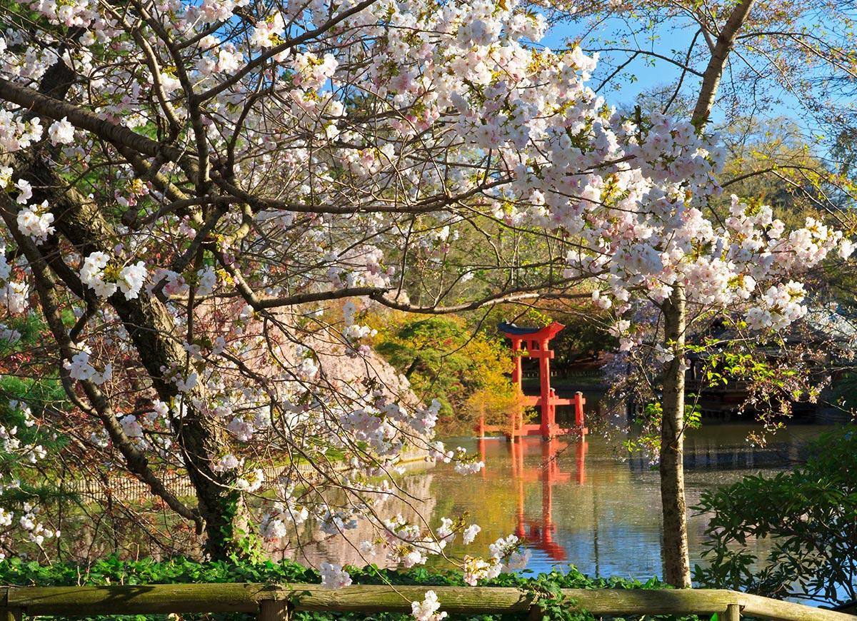 Jardín Botánico de Brooklyn