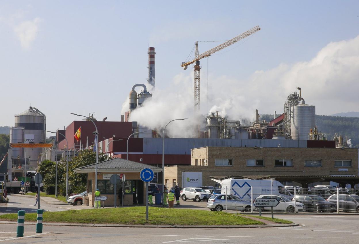 Instalaciones de Ence en Navia, que cuenta con una planta de biomasa. 
