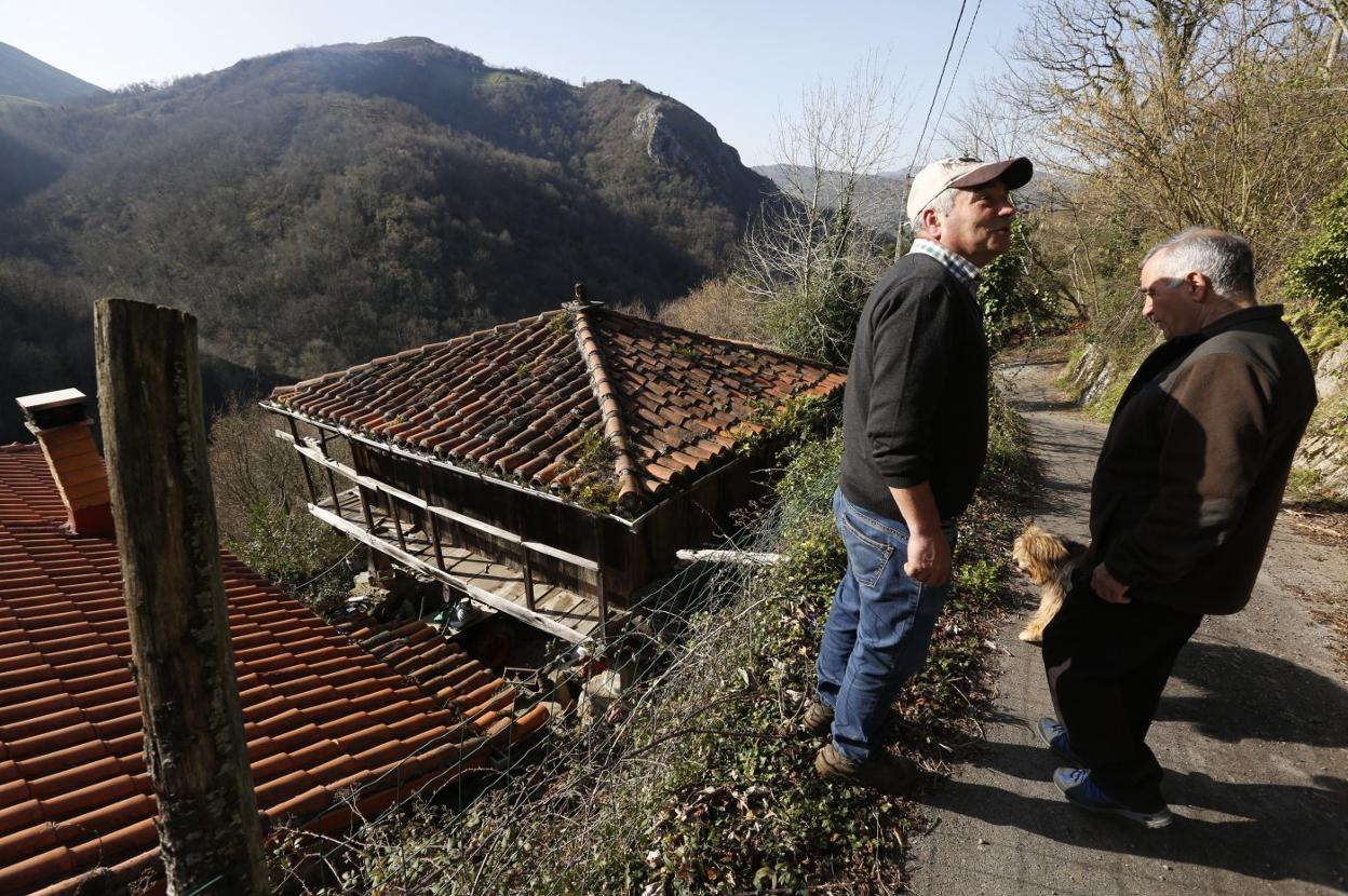 Manolo Patallo y Balbino García, recorren les 'caleyes' de Vendillés, un pueblo tomado por la maleza.