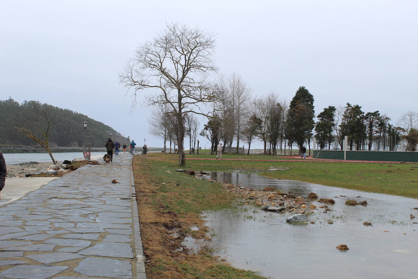 El fuerte oleaje que se vivió durante la pasada madrugada ha dejado daños en las instalaciones deportivas de El Pardo (Navia). El campo de fútbol no llegó a inundarse, pero sí las inmediaciones de este, la secretaría y la pista exterior aledaña. La cercana pista de atletismo y el paseo marítimo amanecieron cubiertos de piedras y maleza arrastrados por el mar, así como con balsas de agua. 