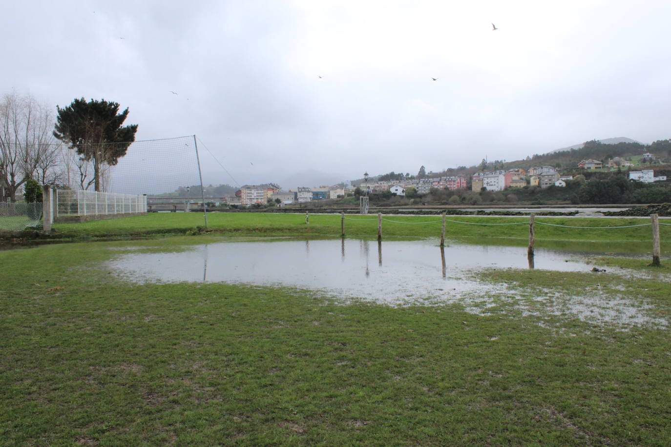 El fuerte oleaje que se vivió durante la pasada madrugada ha dejado daños en las instalaciones deportivas de El Pardo (Navia). El campo de fútbol no llegó a inundarse, pero sí las inmediaciones de este, la secretaría y la pista exterior aledaña. La cercana pista de atletismo y el paseo marítimo amanecieron cubiertos de piedras y maleza arrastrados por el mar, así como con balsas de agua. 