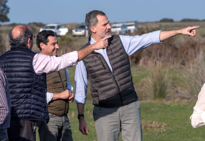 Los Reyes de España, Felipe VI y Doña Letizia, han presidido este viernes en el teatro Salvador Távora de Almonte (Huelva) el congreso científico de clausura de la conmemoración del 50 aniversario del Parque Nacional de Doñana. 