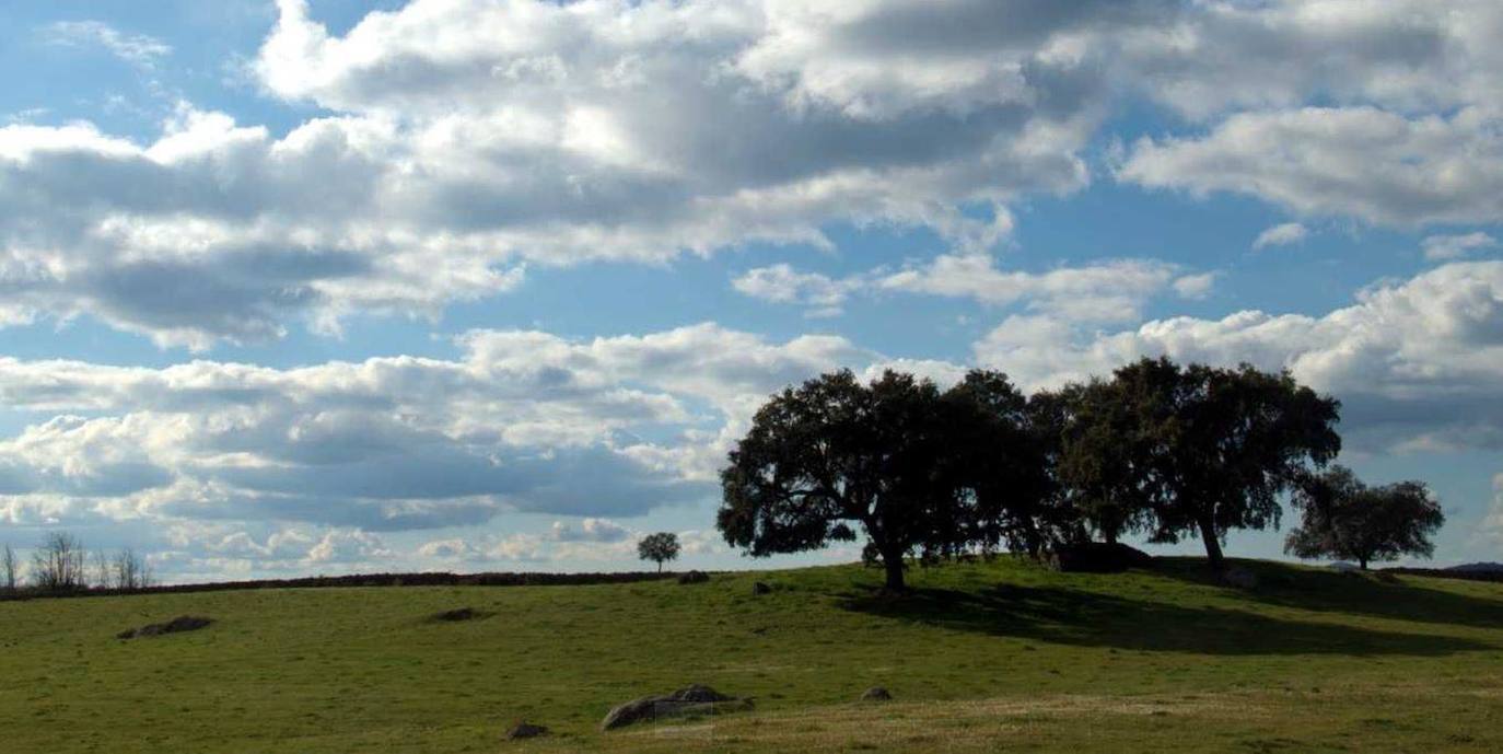 HIGUERA DE LA SIERRA (Huelva)