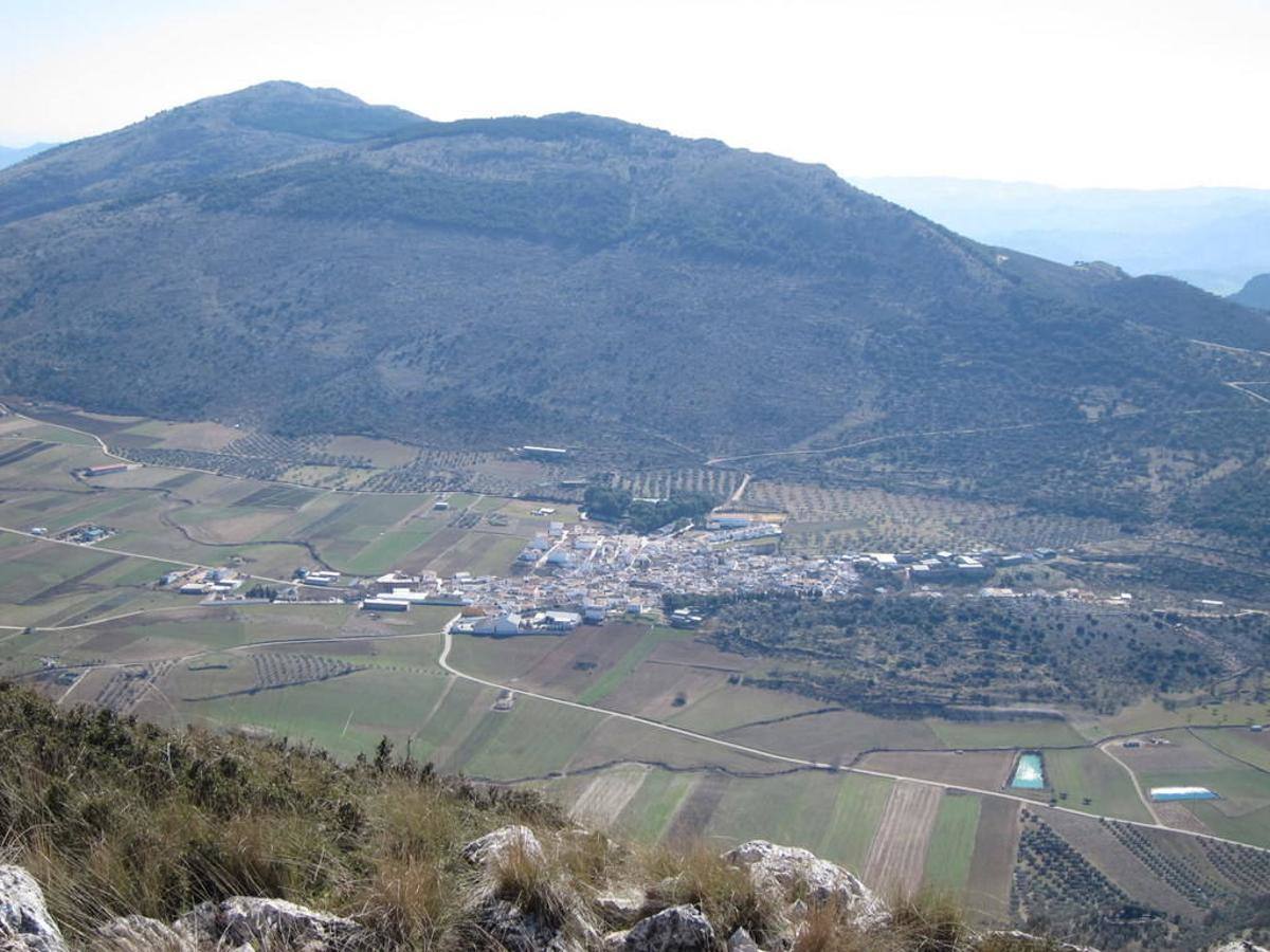 ALFARNATE (Málaga)