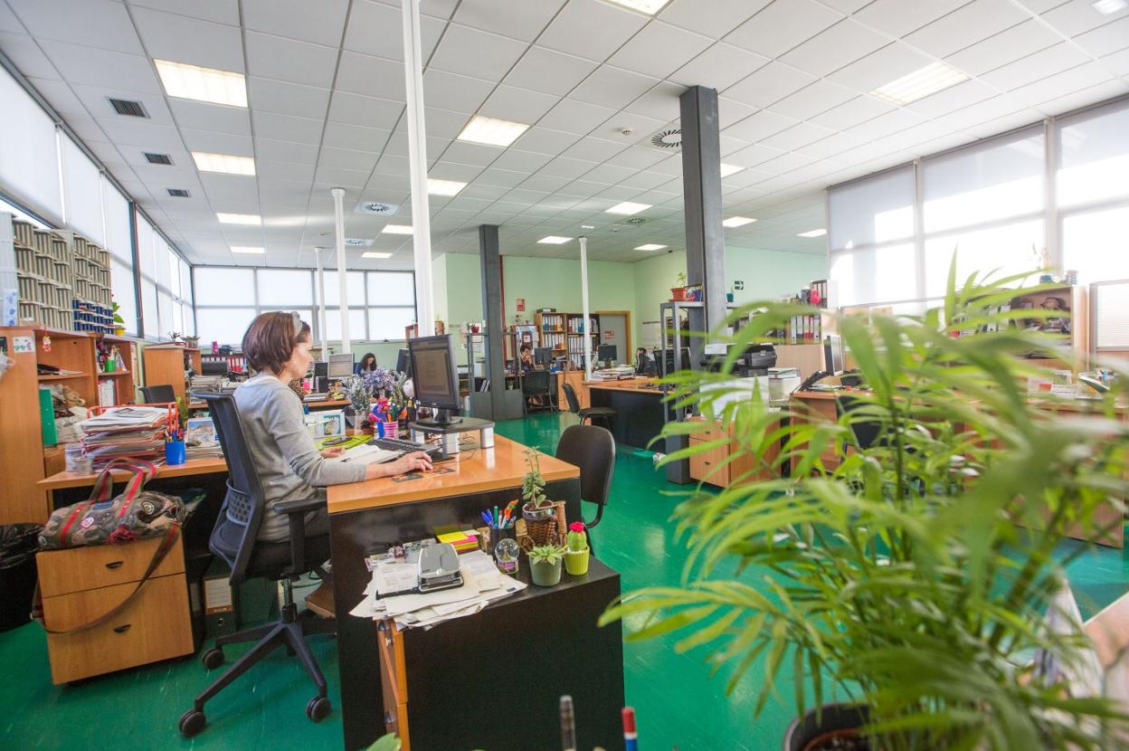 Nueve técnicas de empleo trabajan en el Centro de Empleo Europa. 