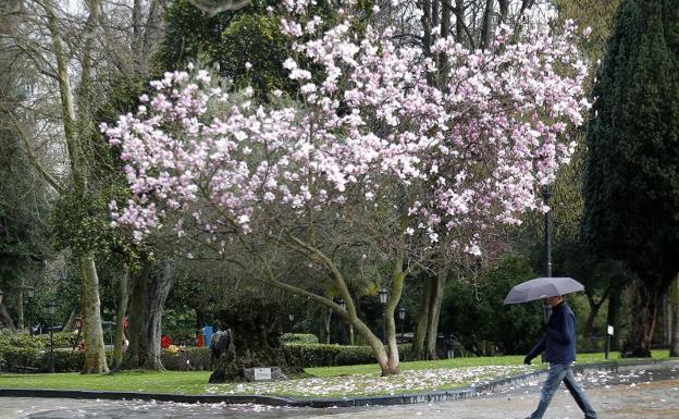 Imagen del Campo de San Francisco este lunes.