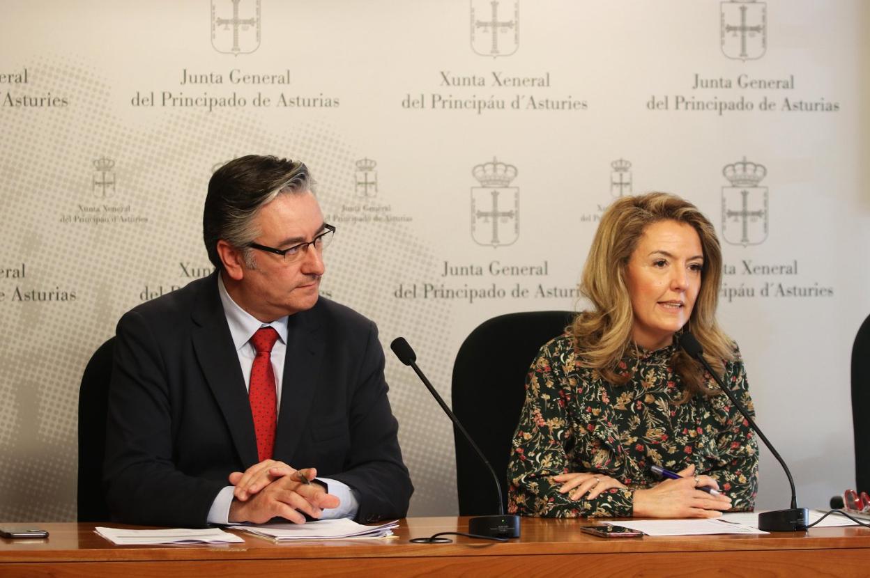 Pablo González y Teresa Mallada, durante su comparecencia. 