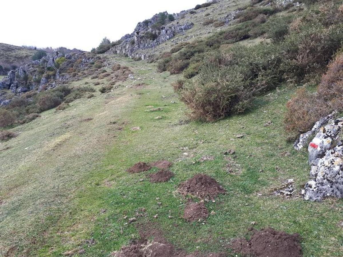 Fotos: Una caminata por Marabio, entre pastizales, cumbres y cabañas