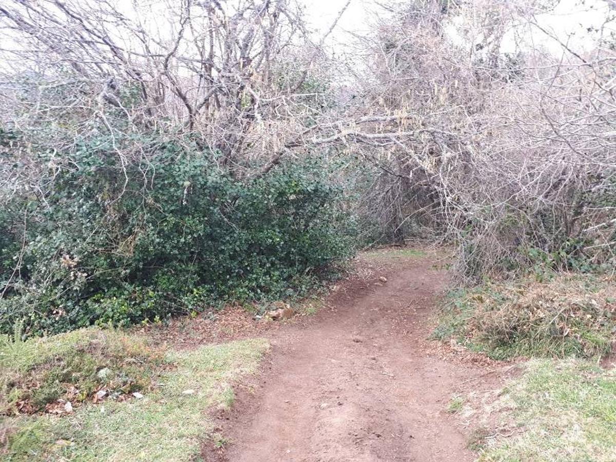 Fotos: Una caminata por Marabio, entre pastizales, cumbres y cabañas