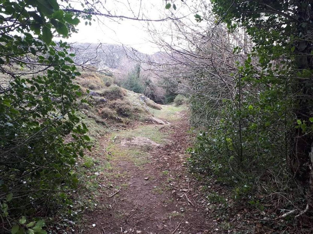 Fotos: Una caminata por Marabio, entre pastizales, cumbres y cabañas