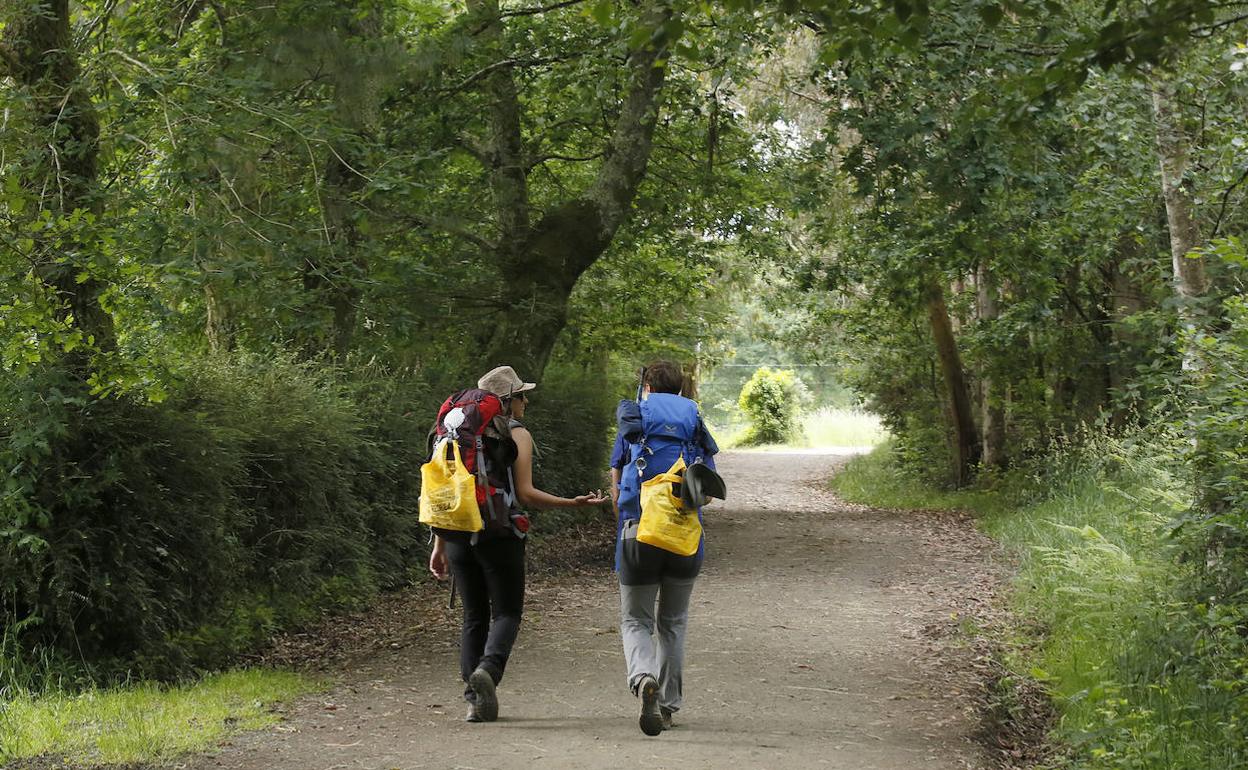 Dos peregrinos realizan un tramo del Camino de Santiago ataviados con una de las más de 13.000 bolsas reutilizables repartidas por los albergues adheridos al proyecto. 