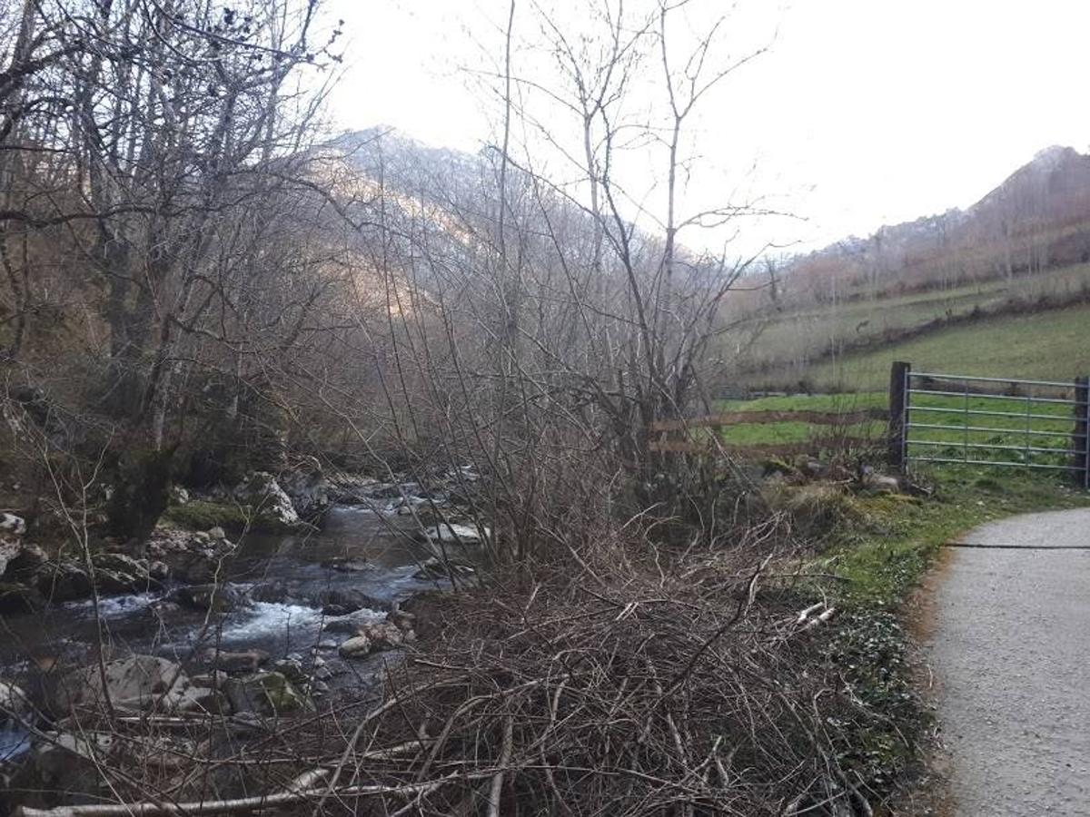 Te invitamos a recorrer con nosotros esta maravillosa ruta en pleno Parque Natural de Redes, que parte desde el pueblo de Caleao y que transcurre junto al río Los Arrudos y a su desfiladero. Esta ruta nos conducirá también por el frondoso hayedo de Los Arrobellaos, la majada de Roxecu, la majada de Llede, la de los Moyones, el Lago Ubales (una laguna de montaña en la que habitan tritones y varias plantas curiosas), el antiguo Camín de Castilla o las cabañas de Pasaoriu, entre otros. Una senda con encanto perfecta para disfrutar del senderismo y la naturaleza.