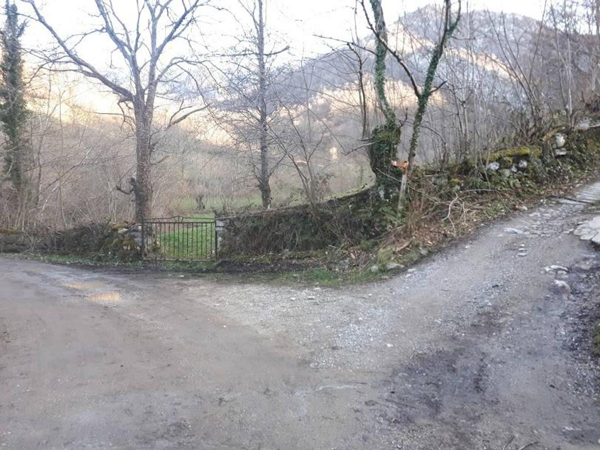 Te invitamos a recorrer con nosotros esta maravillosa ruta en pleno Parque Natural de Redes, que parte desde el pueblo de Caleao y que transcurre junto al río Los Arrudos y a su desfiladero. Esta ruta nos conducirá también por el frondoso hayedo de Los Arrobellaos, la majada de Roxecu, la majada de Llede, la de los Moyones, el Lago Ubales (una laguna de montaña en la que habitan tritones y varias plantas curiosas), el antiguo Camín de Castilla o las cabañas de Pasaoriu, entre otros. Una senda con encanto perfecta para disfrutar del senderismo y la naturaleza.