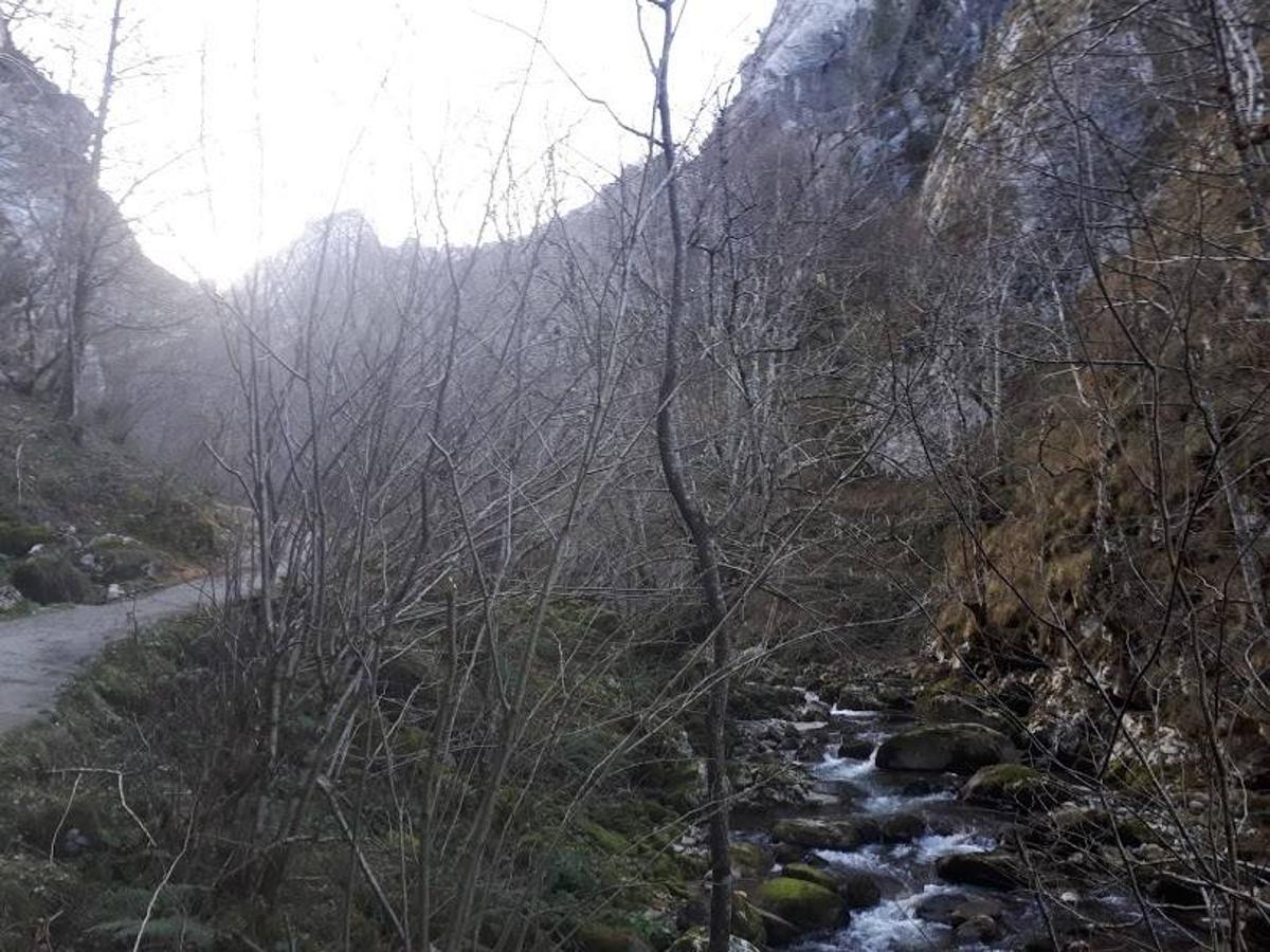 Te invitamos a recorrer con nosotros esta maravillosa ruta en pleno Parque Natural de Redes, que parte desde el pueblo de Caleao y que transcurre junto al río Los Arrudos y a su desfiladero. Esta ruta nos conducirá también por el frondoso hayedo de Los Arrobellaos, la majada de Roxecu, la majada de Llede, la de los Moyones, el Lago Ubales (una laguna de montaña en la que habitan tritones y varias plantas curiosas), el antiguo Camín de Castilla o las cabañas de Pasaoriu, entre otros. Una senda con encanto perfecta para disfrutar del senderismo y la naturaleza.