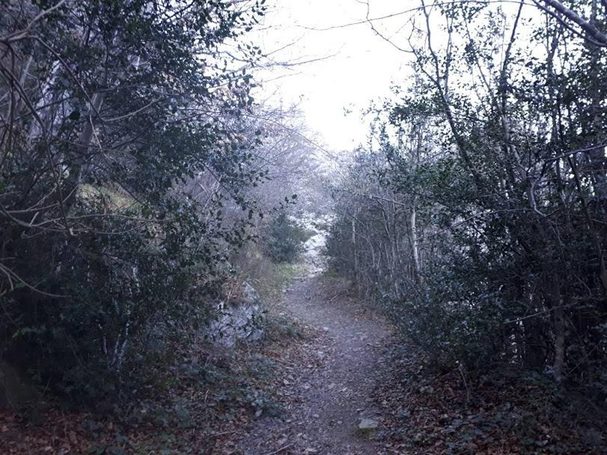 Te invitamos a recorrer con nosotros esta maravillosa ruta en pleno Parque Natural de Redes, que parte desde el pueblo de Caleao y que transcurre junto al río Los Arrudos y a su desfiladero. Esta ruta nos conducirá también por el frondoso hayedo de Los Arrobellaos, la majada de Roxecu, la majada de Llede, la de los Moyones, el Lago Ubales (una laguna de montaña en la que habitan tritones y varias plantas curiosas), el antiguo Camín de Castilla o las cabañas de Pasaoriu, entre otros. Una senda con encanto perfecta para disfrutar del senderismo y la naturaleza.