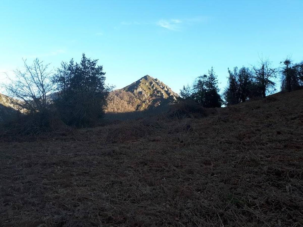 Te invitamos a recorrer con nosotros esta maravillosa ruta en pleno Parque Natural de Redes, que parte desde el pueblo de Caleao y que transcurre junto al río Los Arrudos y a su desfiladero. Esta ruta nos conducirá también por el frondoso hayedo de Los Arrobellaos, la majada de Roxecu, la majada de Llede, la de los Moyones, el Lago Ubales (una laguna de montaña en la que habitan tritones y varias plantas curiosas), el antiguo Camín de Castilla o las cabañas de Pasaoriu, entre otros. Una senda con encanto perfecta para disfrutar del senderismo y la naturaleza.