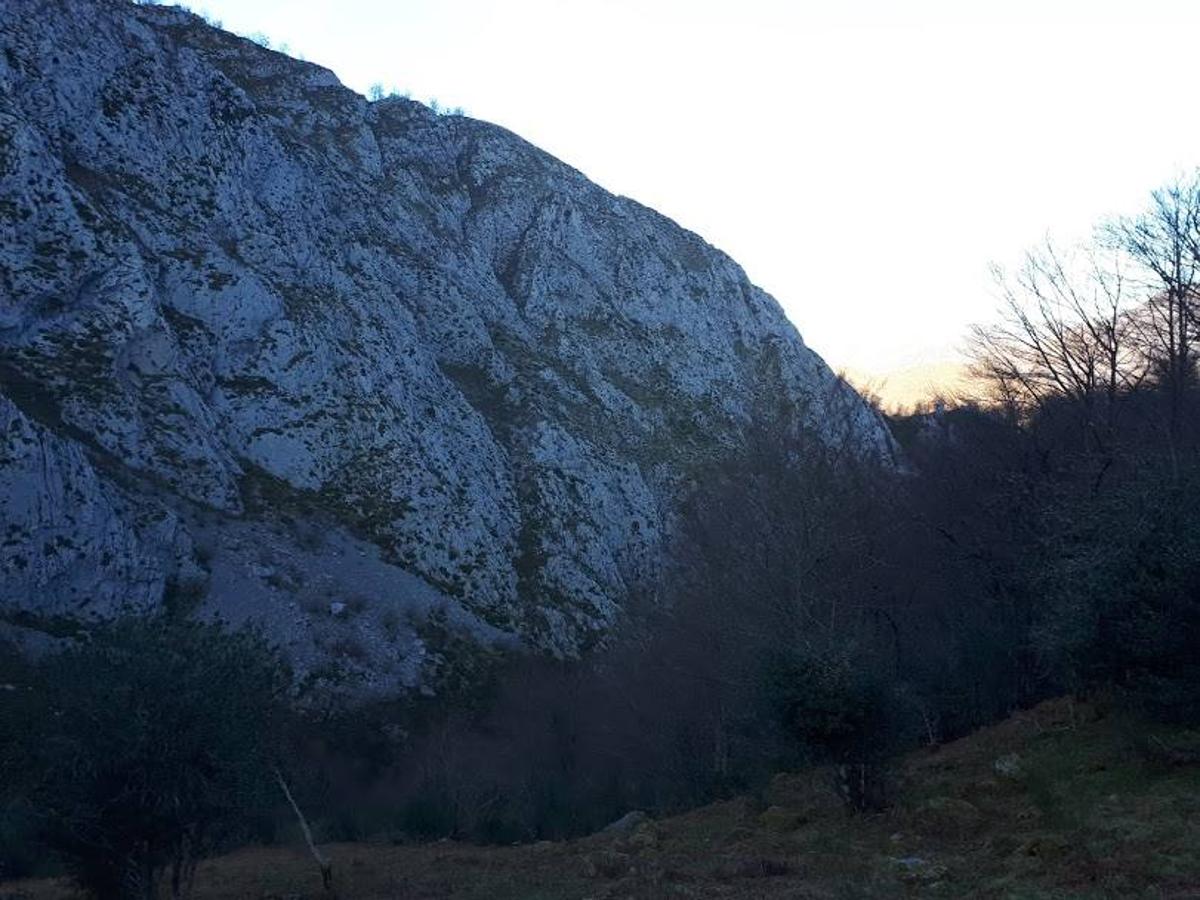 Te invitamos a recorrer con nosotros esta maravillosa ruta en pleno Parque Natural de Redes, que parte desde el pueblo de Caleao y que transcurre junto al río Los Arrudos y a su desfiladero. Esta ruta nos conducirá también por el frondoso hayedo de Los Arrobellaos, la majada de Roxecu, la majada de Llede, la de los Moyones, el Lago Ubales (una laguna de montaña en la que habitan tritones y varias plantas curiosas), el antiguo Camín de Castilla o las cabañas de Pasaoriu, entre otros. Una senda con encanto perfecta para disfrutar del senderismo y la naturaleza.