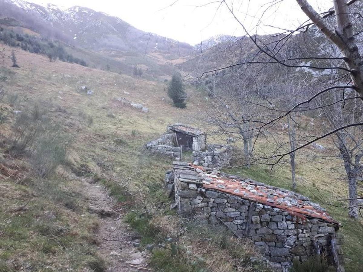 Te invitamos a recorrer con nosotros esta maravillosa ruta en pleno Parque Natural de Redes, que parte desde el pueblo de Caleao y que transcurre junto al río Los Arrudos y a su desfiladero. Esta ruta nos conducirá también por el frondoso hayedo de Los Arrobellaos, la majada de Roxecu, la majada de Llede, la de los Moyones, el Lago Ubales (una laguna de montaña en la que habitan tritones y varias plantas curiosas), el antiguo Camín de Castilla o las cabañas de Pasaoriu, entre otros. Una senda con encanto perfecta para disfrutar del senderismo y la naturaleza.